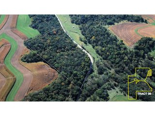 Property photo 18 - 1,153 +/- Acres offered in 15 TractsLAND AUCTION